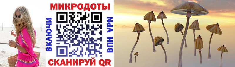 Галлюциногенные грибы MAGIC MUSHROOMS  Александровское 