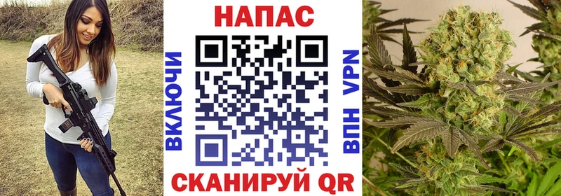 hydra как войти  Александровское  Бошки марихуана THC 21% 